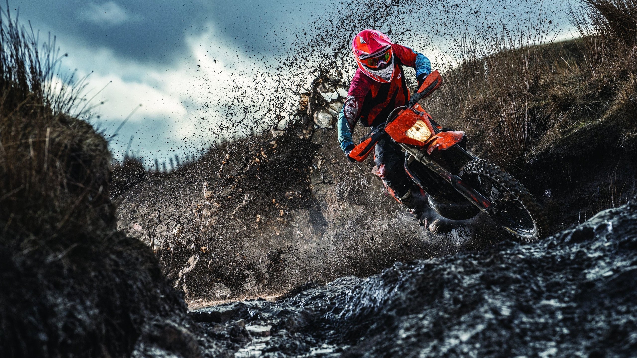 澳大利亚袋鼠队的防线稳固，球队整体配合默契，澳大利亚袋鼠比赛