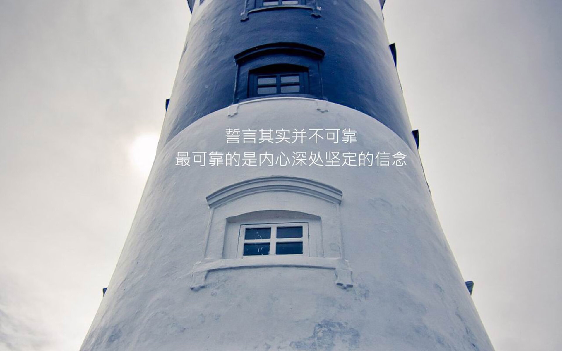 _森林狼队亮剑,球队凝聚力提升_,森林狼队伍