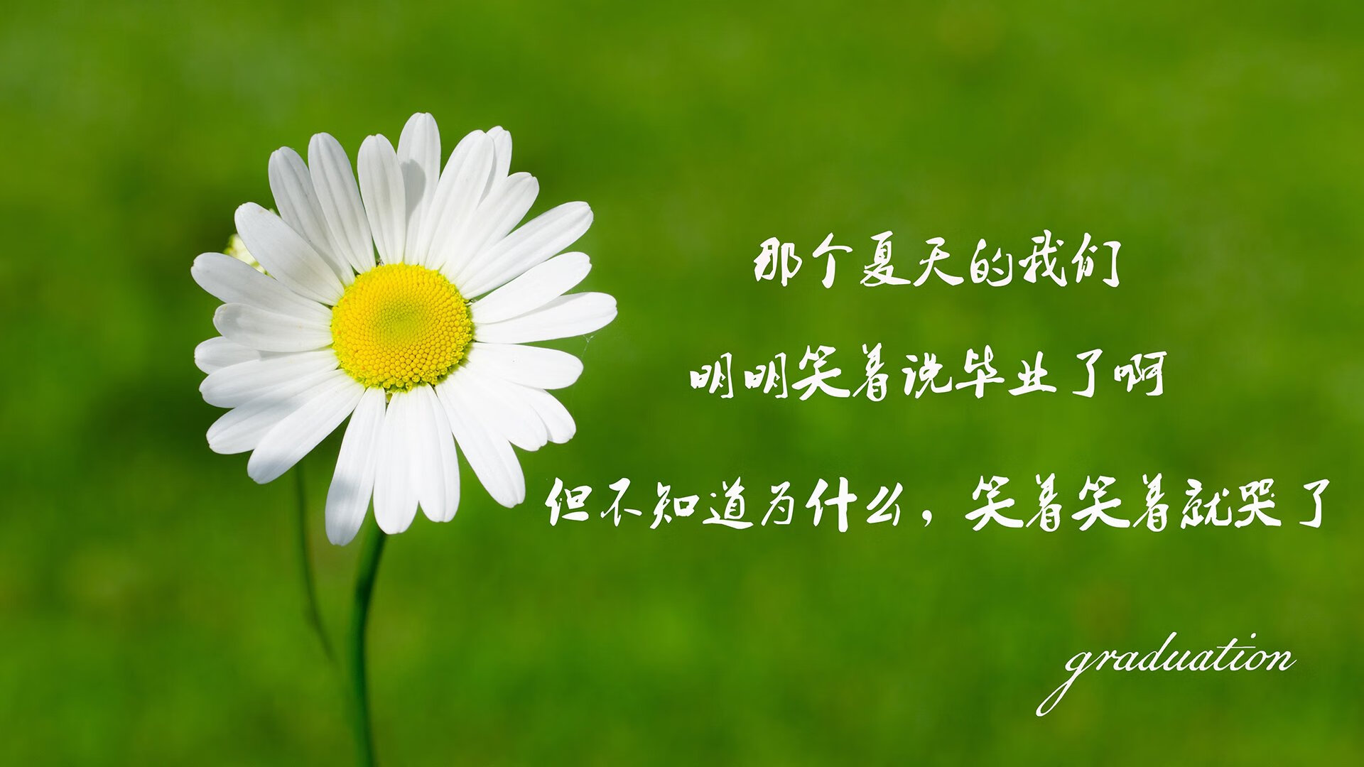 _森林狼奋勇直追,追梦季后赛_,森林狼集锦