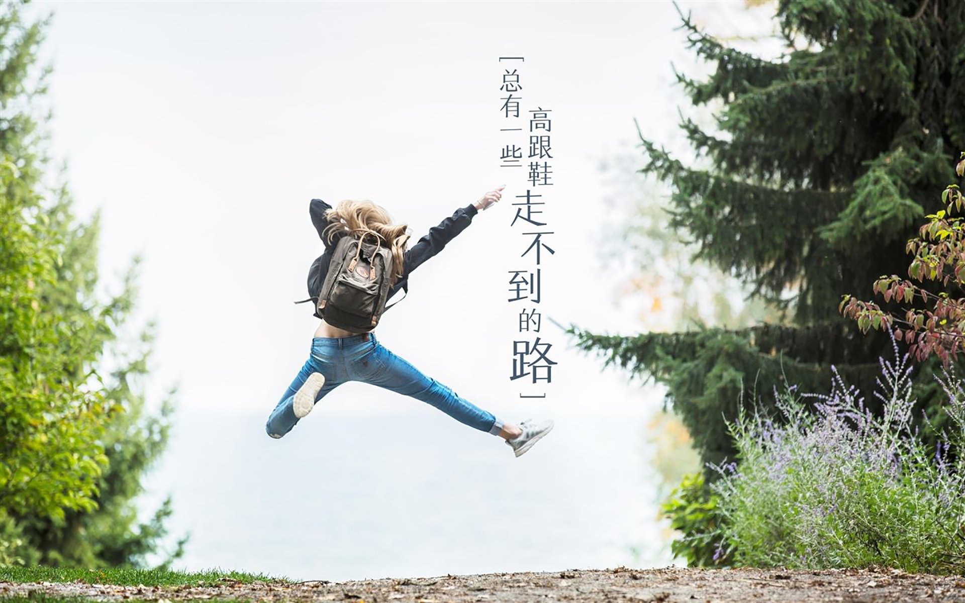 _湖人全队火力全开,季后赛希望逐步明朗_,湖人这赛季的阵容