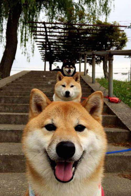 开云·体育官网APP下载-史上最大“黑马军团”实现逆转奇迹，最大的黑马